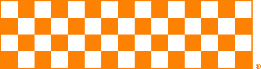 Tennessee Volunteers 2015-Pres Secondary Logo v2 diy iron on heat transfer